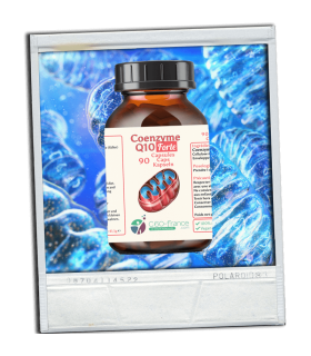 Nahrungsergänzungsmittel mit Coenzym Q10 (Ubiquinol) pflanzlichen Ursprungs.
90 vegane Kapseln - 200mg