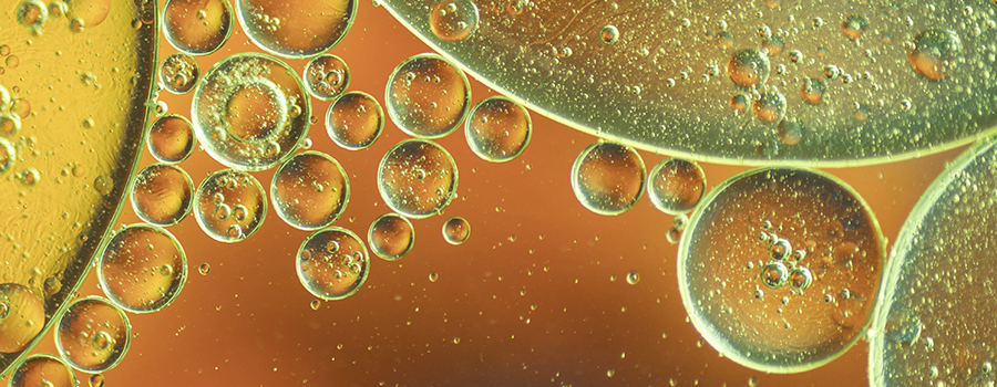 Věda o polyfenolech a antioxidantech Věda o polyfenolech a antioxidantech