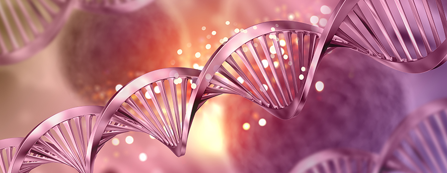 Řetězce DNA Řetězce DNA