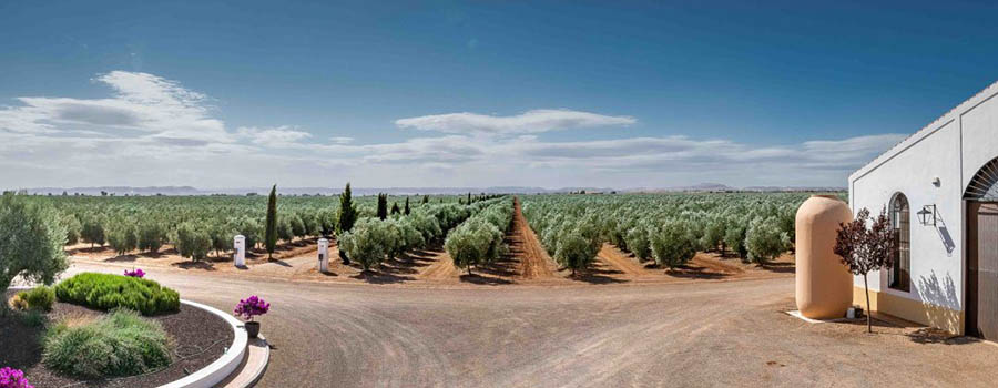 Ocenění Palacio de los Olivos Ocenění Palacio de los Olivos