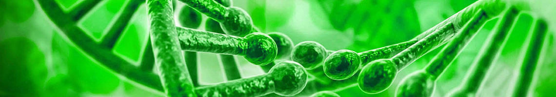 Carbon 60 oil for health scientific study