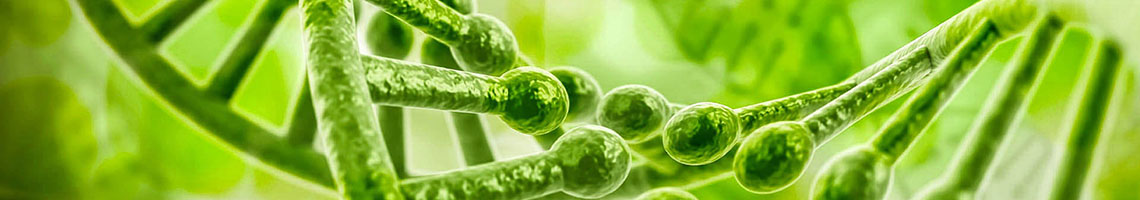 Carbon 60 oil for health scientific study