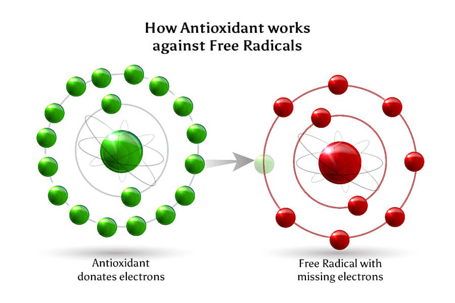 C60-France Antioxydant How Works