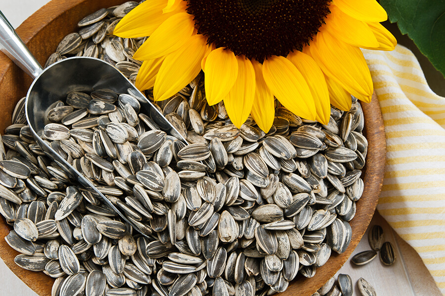 C60-France-Antioxydant-sunflower-seed-vitamine-E