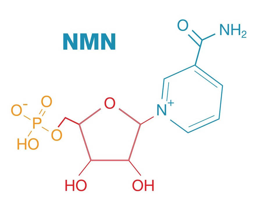 studie av nmn-molekylen