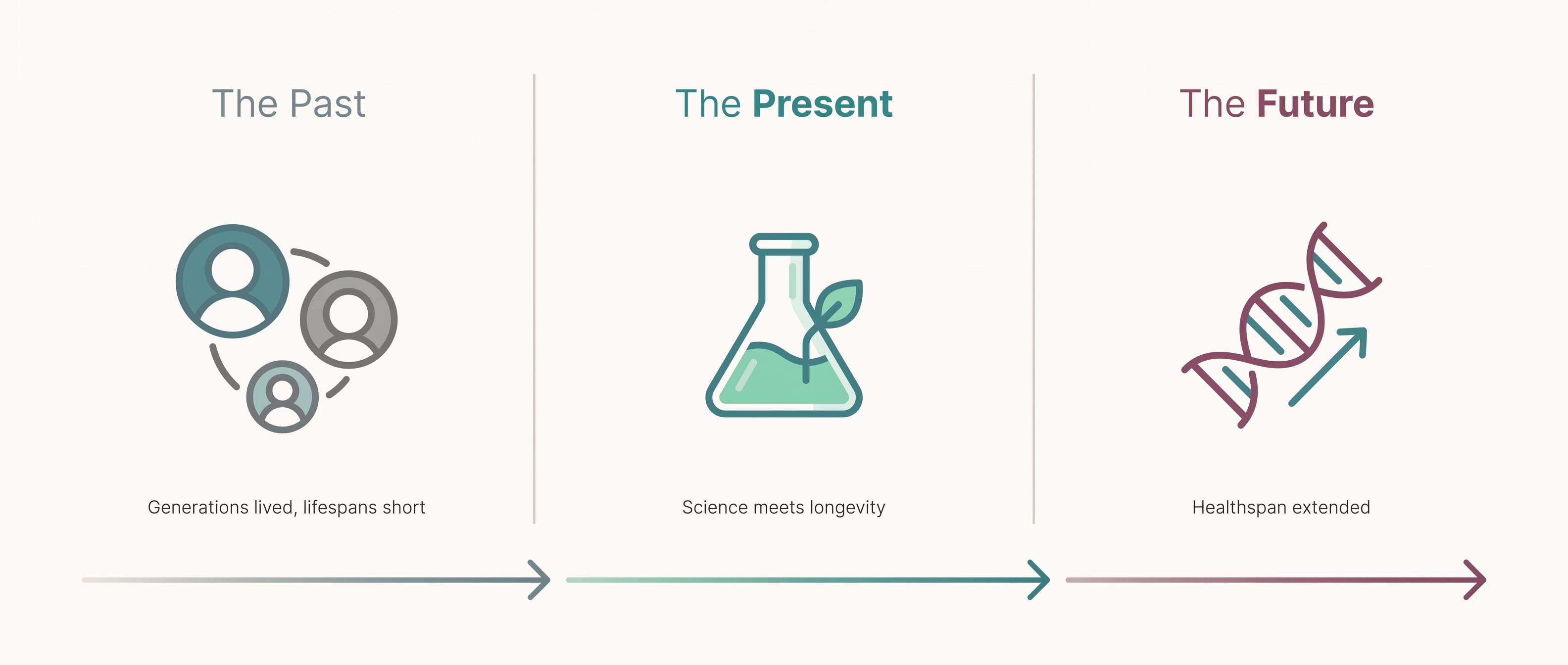 Lifespan by David Sinclair book review infographic showing the book's three parts: past, present and future of ageing research
