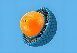 Was ist liposomales Vitamin C ?