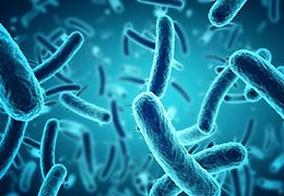 Les effets anti-inflammatoires du Carbone 60 : 10 raisons de l'essayer