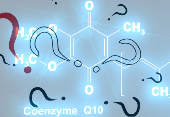 Spørgsmål og svar om fordelene ved coenzym Q10